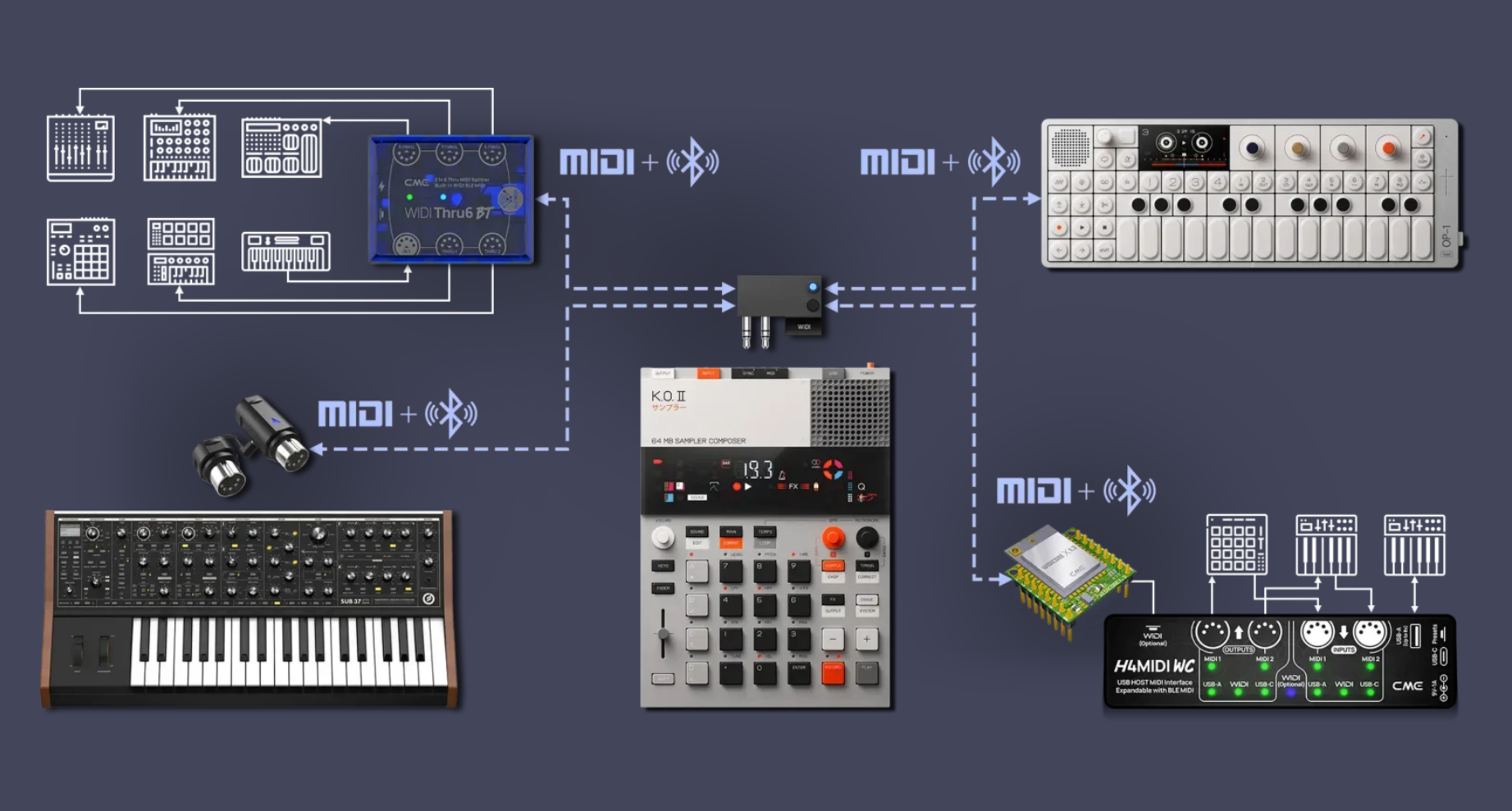 midi-group-3-1536x682_Copy.png